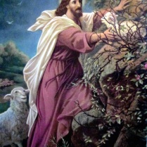 jesus-christ-wallpapers-jesus-the-good-shepherd-2